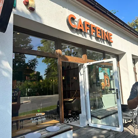 Silvia 109 Друскининкай