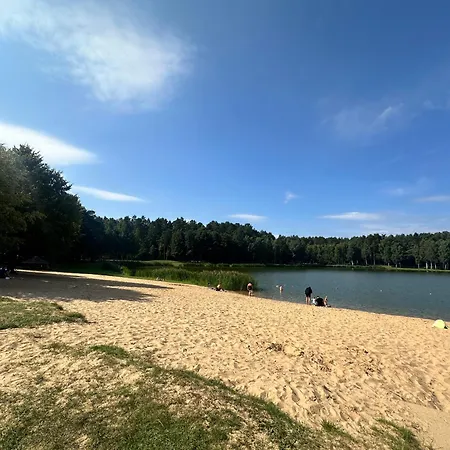 Silvia 109 Lejlighed Druskininkai